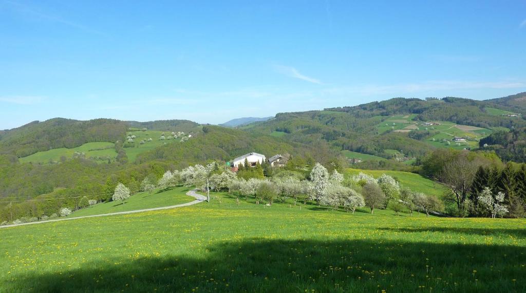 Goelsenhof - Fam. Buechinger Villa Wald  ภายนอก รูปภาพ