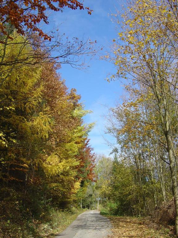 Goelsenhof - Fam. Buechinger Villa Wald  ภายนอก รูปภาพ